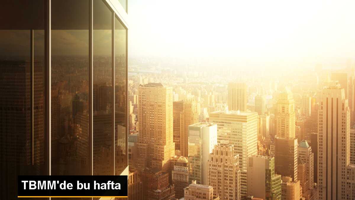 TBMM\'de bu hafta