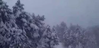 Uludağ'da kar kalınlığı 1 metreye yaklaştı; kent merkezinde ekipler teyakkuzda (2)