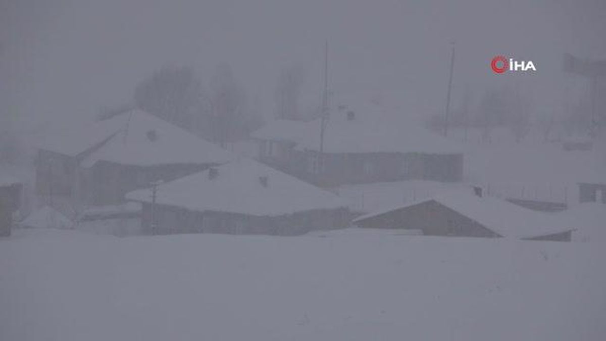 Yüksekova kar altında: Araçlar ve tek katlı evler kara gömüldü