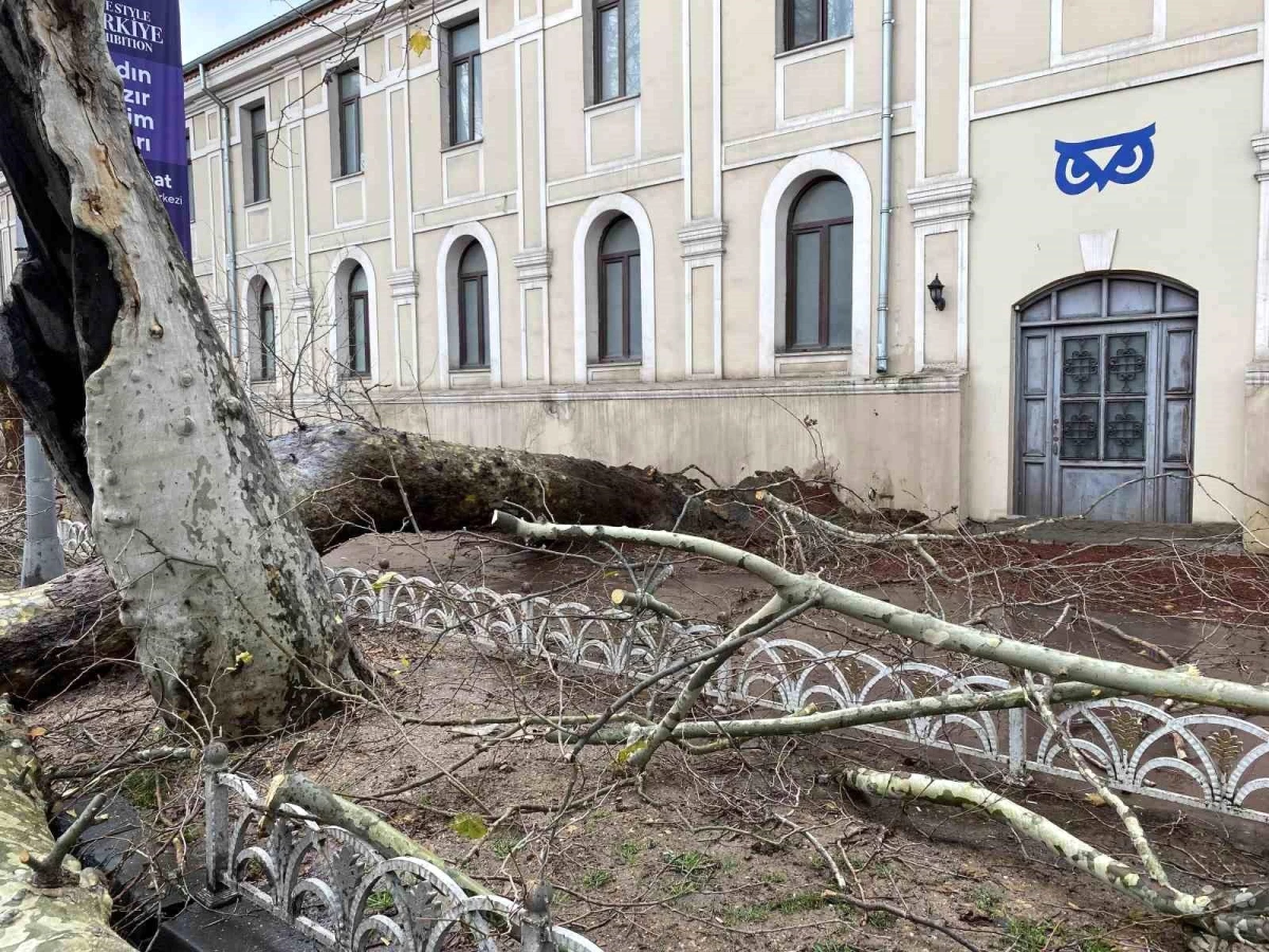 Beşiktaş\'ta devrilen ağaçtan kopan parça ticari taksinin üzerine düştü