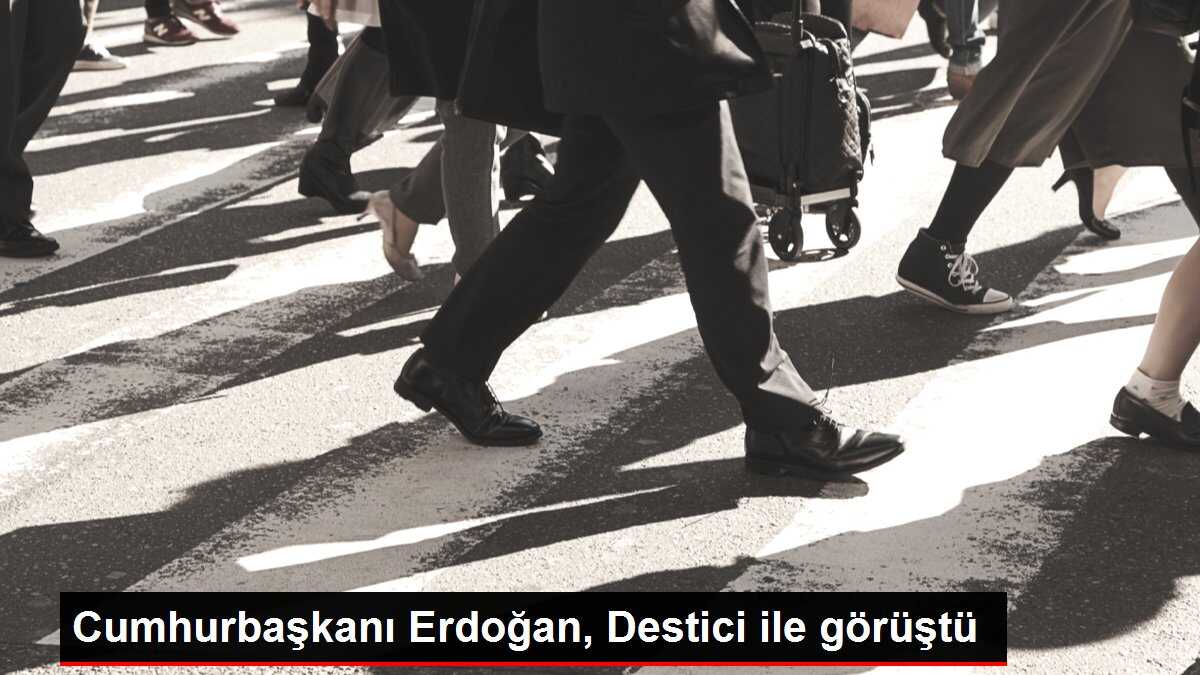 Cumhurbaşkanı Erdoğan, Destici ile görüştü