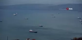 Fırtınadan kaçan çok sayıda gemi Sinop limanına demir attı