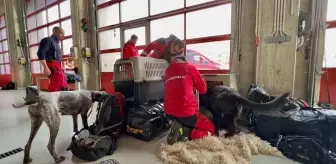 İngiltere, Çekya ve Tayvan, Türkiye'ye arama-kurtarma ekibi gönderiyor