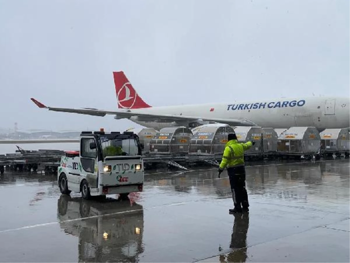 Turkish Cargo, deprem bölgesine yardımları ücretsiz taşıyacak