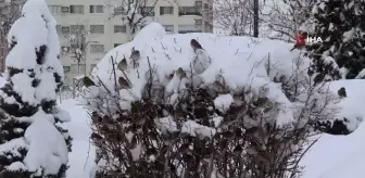 Yaklaşık bin yerleşim yeriyle ulaşım kesildi