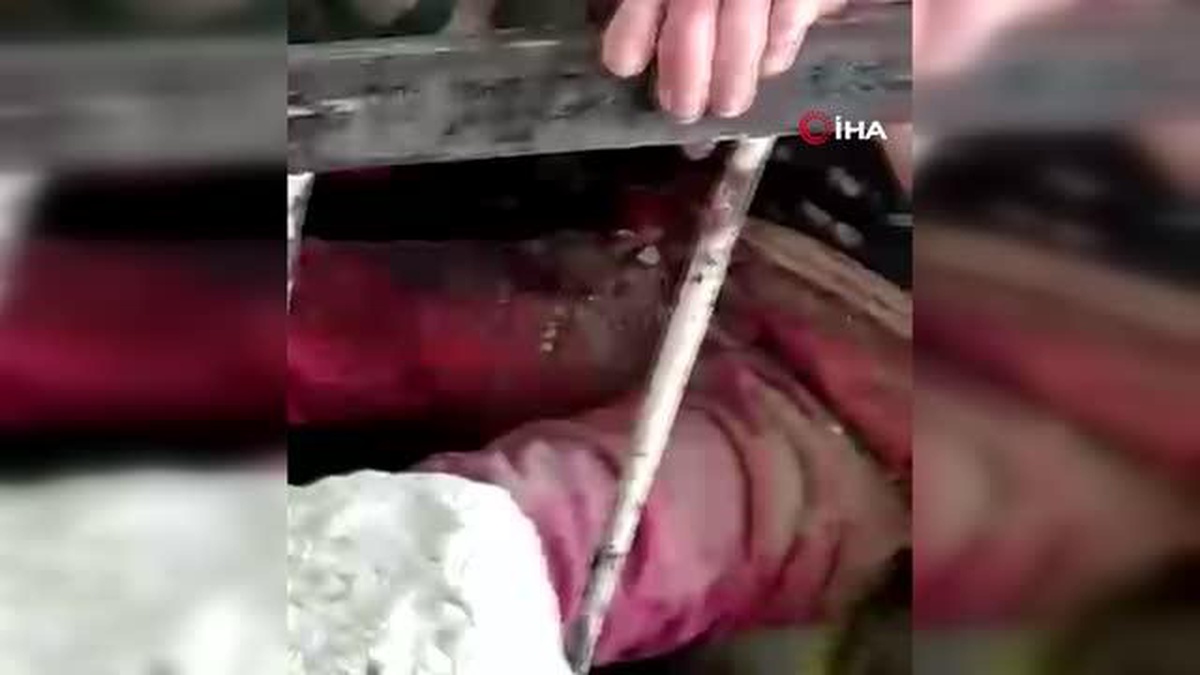 5 yaşındaki Yasemin 42 saat sonra enkazdan sağ olarak çıkarıldı
