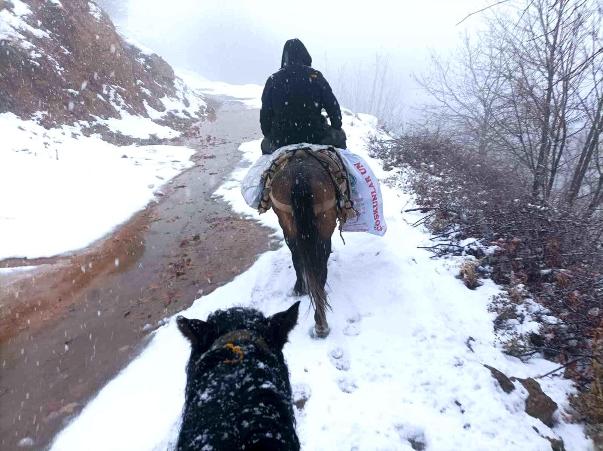 Depremzedelere katır sırtında yardım taşıyorlar