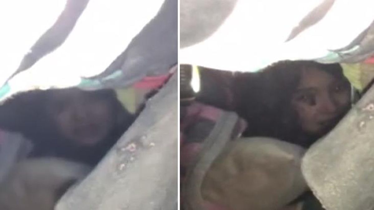 Enkaz altında kalan 5 yaşındaki Yağmur\'un sözleri ağlattı: Çok üşüyorum, ellerim bembeyaz oldu baba