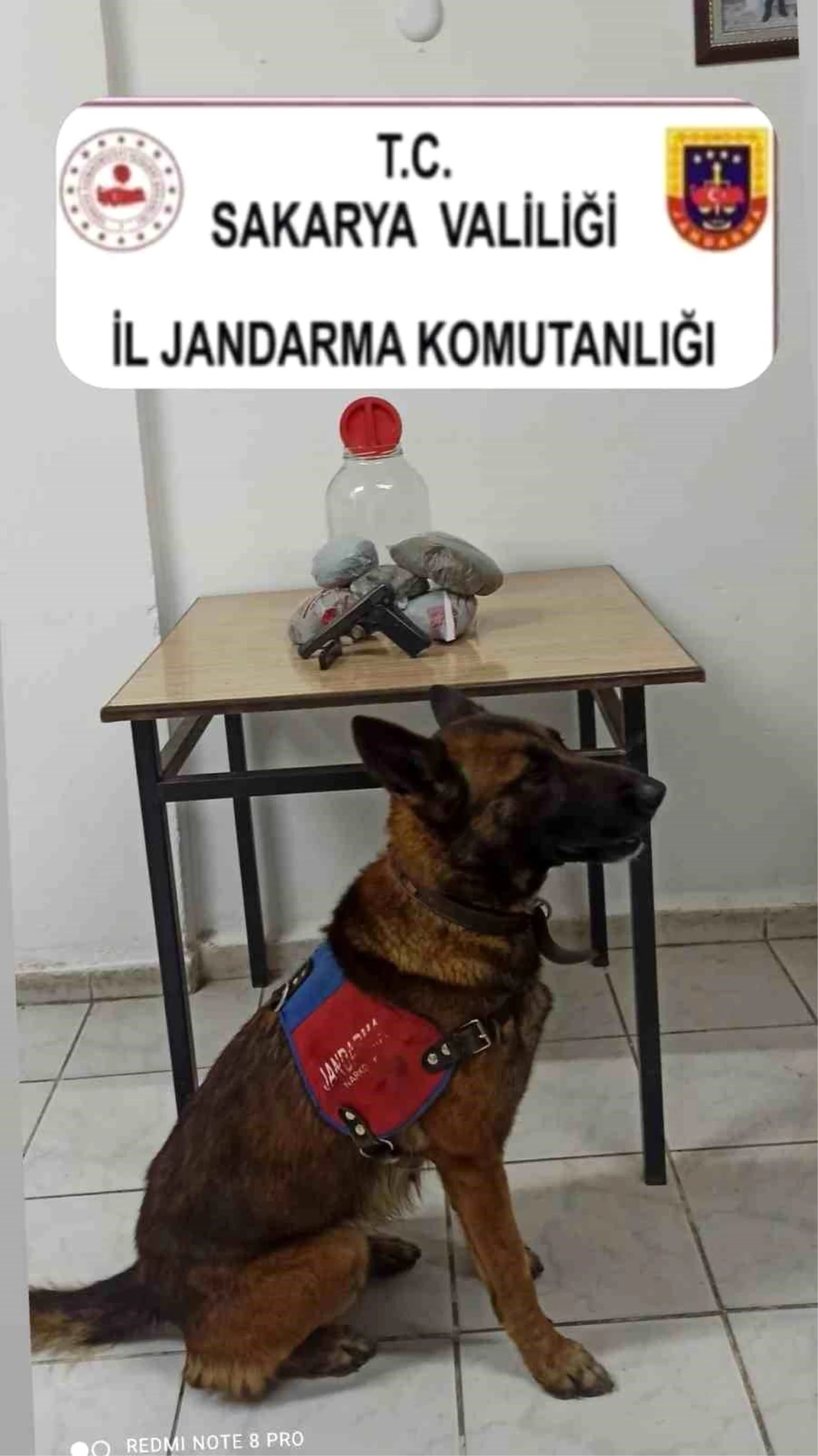 Jandarmadan uyuşturucu operasyonu: 1 gözaltı