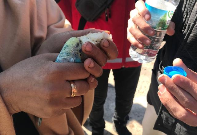Küçük Berat, 55 saat sonra enkazdan elinde tuttuğu muhabbet kuşuyla çıkarıldı