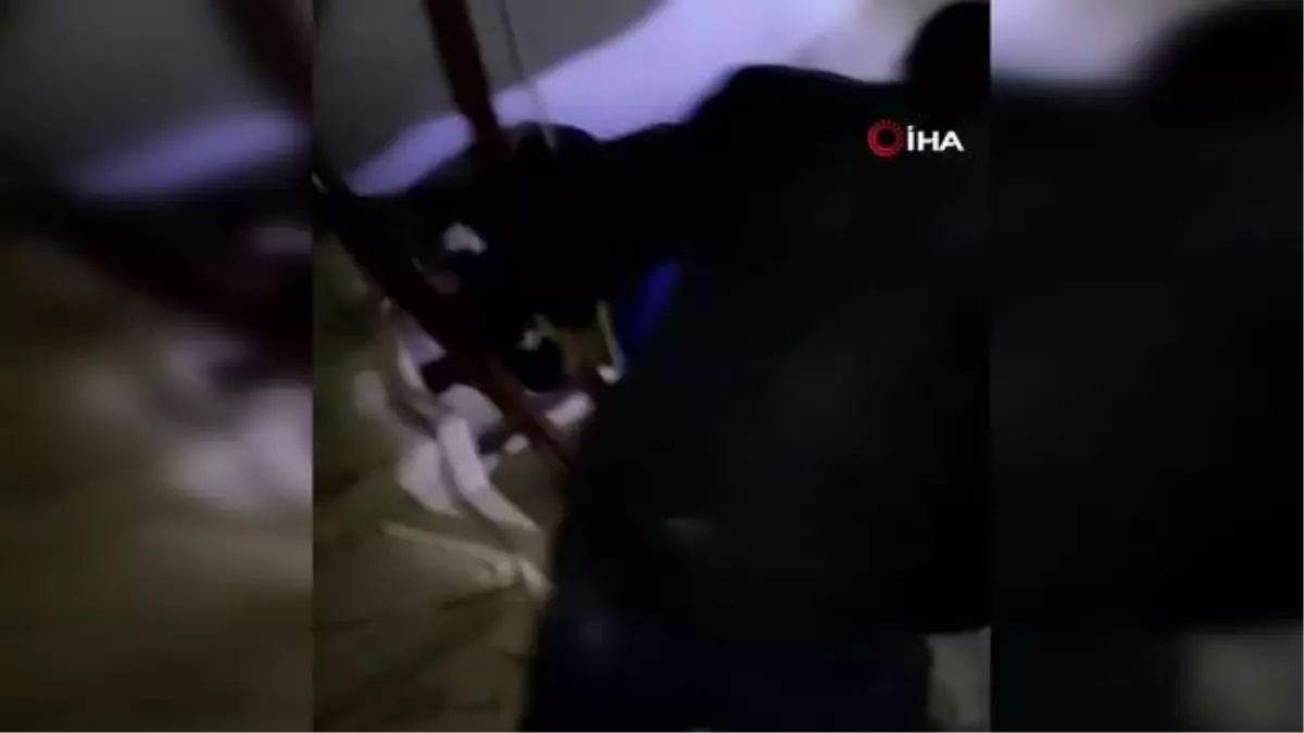 Lamia bebek, umutları yeşertti.. Yıkılan binadan yaklaşık 50 saat sonra kurtarıldı