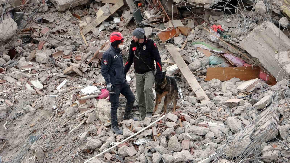 Malatya\'da arama kurtarma köpekleri devrede
