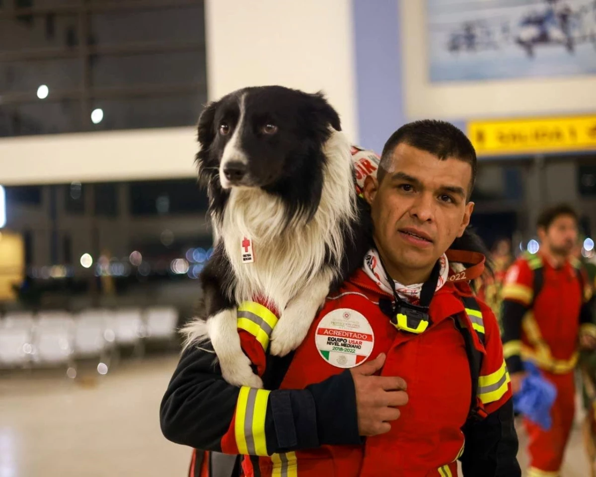 Meksika, meşhur arama kurtarma köpeklerini Türkiye\'ye gönderdi