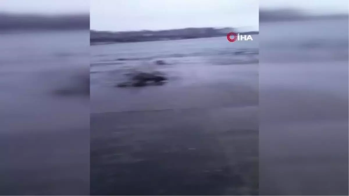 Türkeli'de şiddetli fırtına: 1 kayık battı