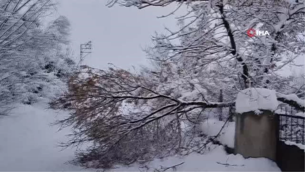 Varto\'da 99 köy ve 50 mezranın yolu kar yağışı nedeniyle ulaşıma kapandı