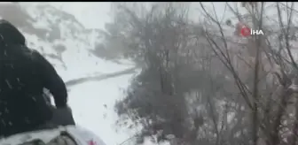 Katır sırtında depremzedelere yardım taşıyorlar