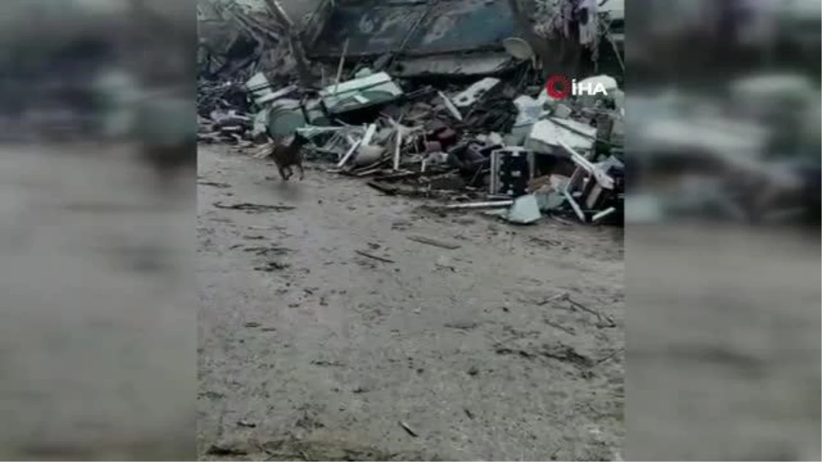 Türk Polis Teşkilatı\'nın hassas burunları deprem bölgesinde