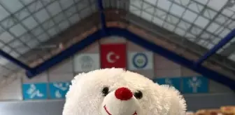 Yaşları küçük, yürekleri büyük; kimi harçlığını, kimi oyuncağını gönderdi