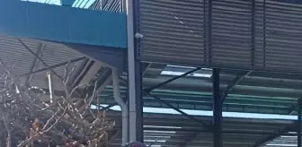 Topladığı odunları sırtında taşıyarak depremzedeler için getirdi