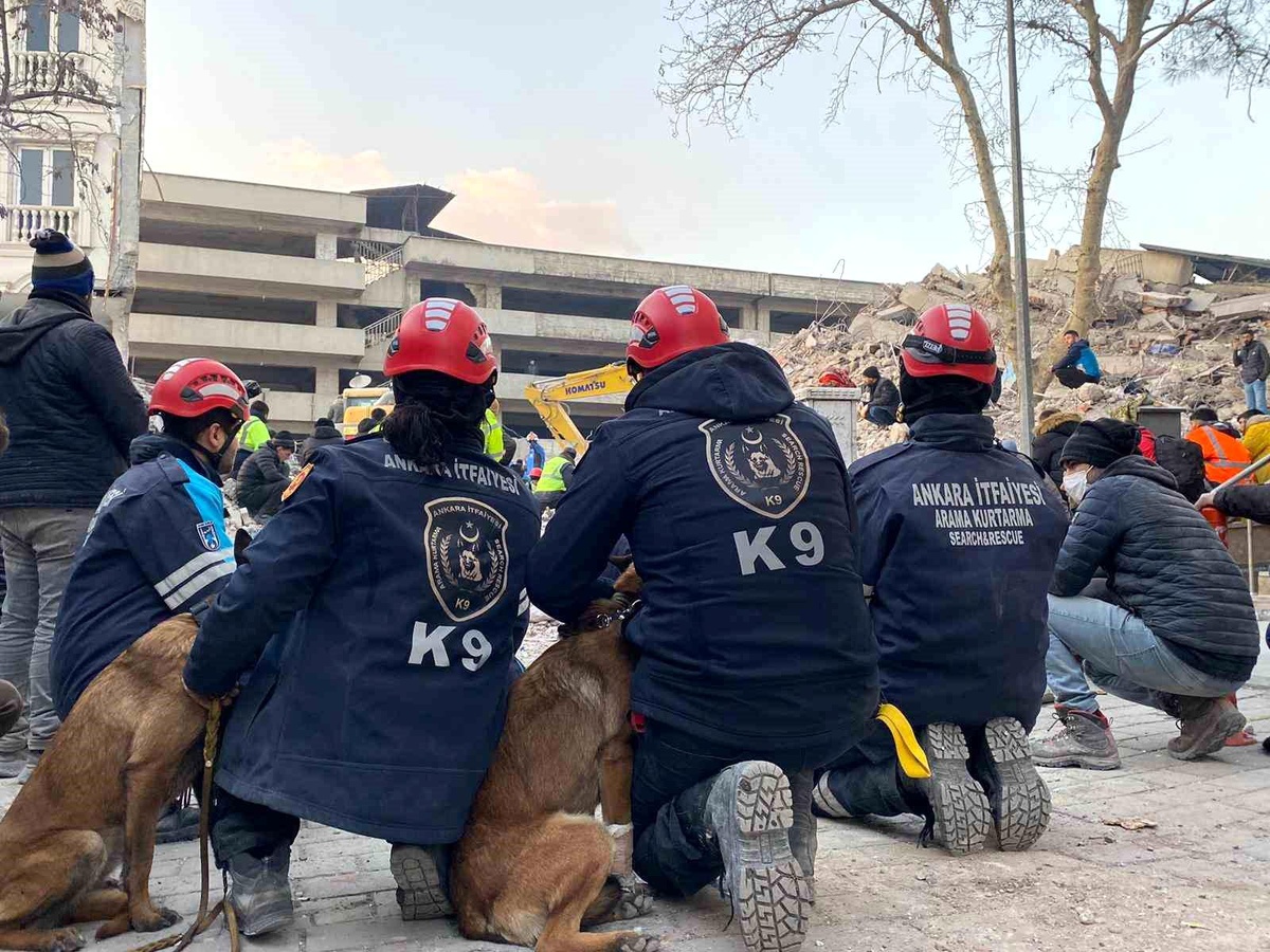 Ankara\'nın kahraman patileri 28 kişinin hayatını kurtardı