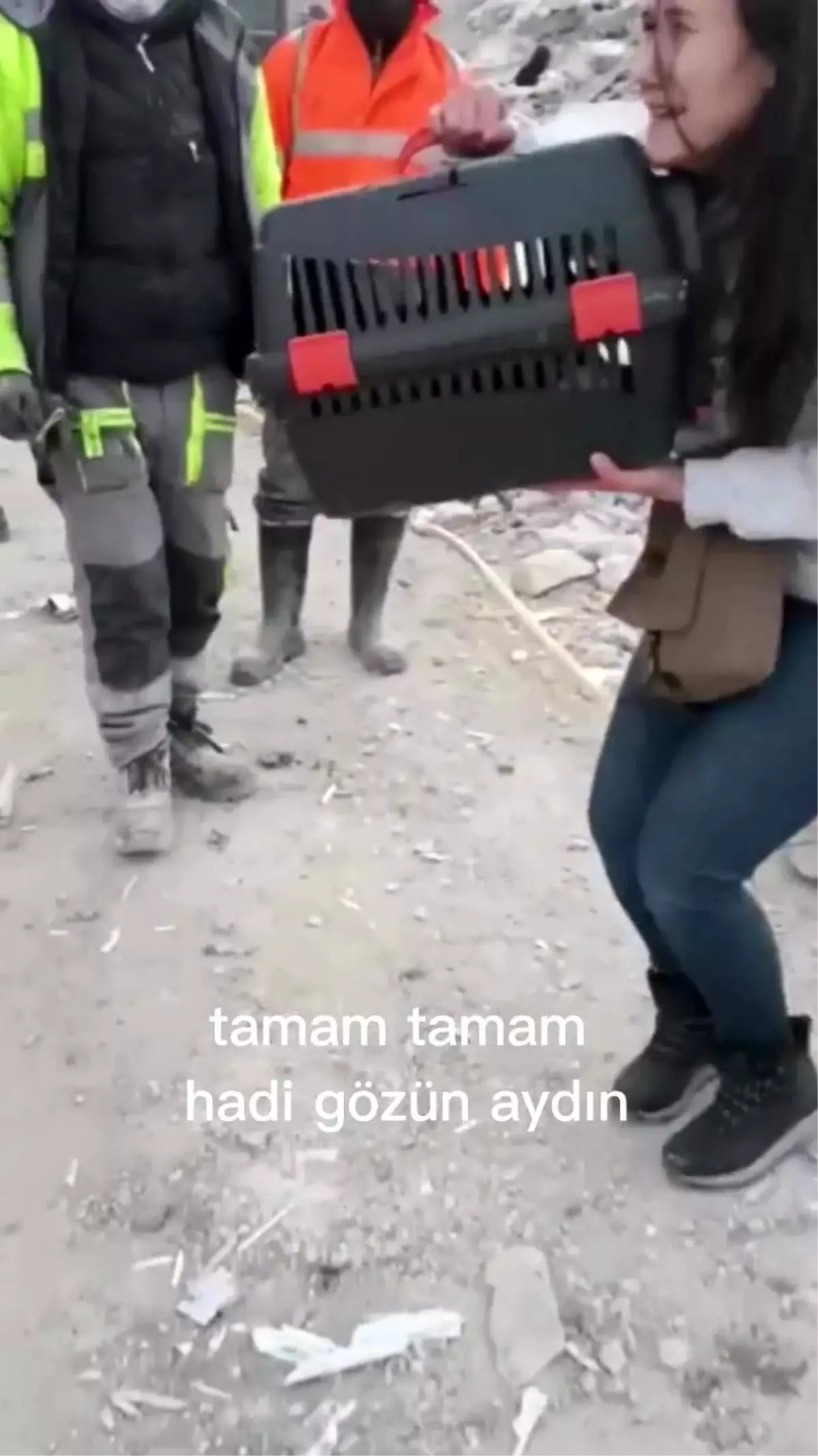 Artçı sarsıntılar arasında 7. katta mahsur kalan kediyi kurtardı