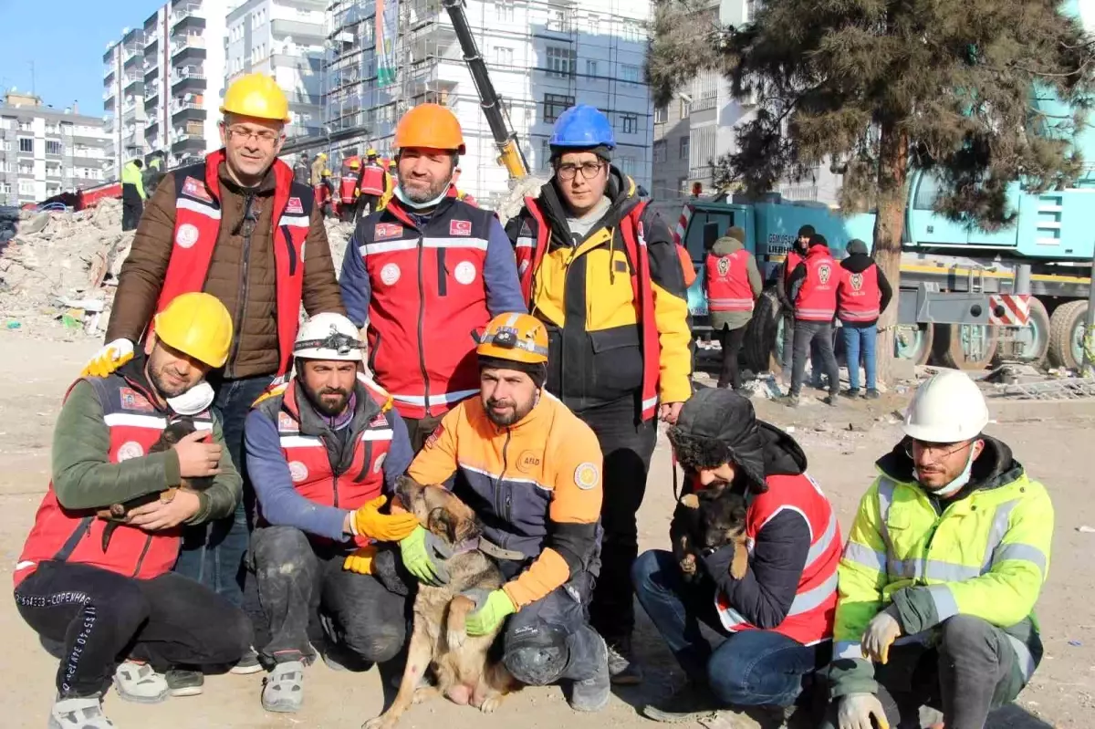 Ezan okunurken uluyan köpek ve yavruları, sesi fark eden görevlilerce enkazdan kurtarıldı