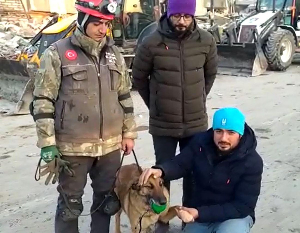 Hayat kurtarırken yaralanan hassas burun \'Sıla\' tekrar görev başında