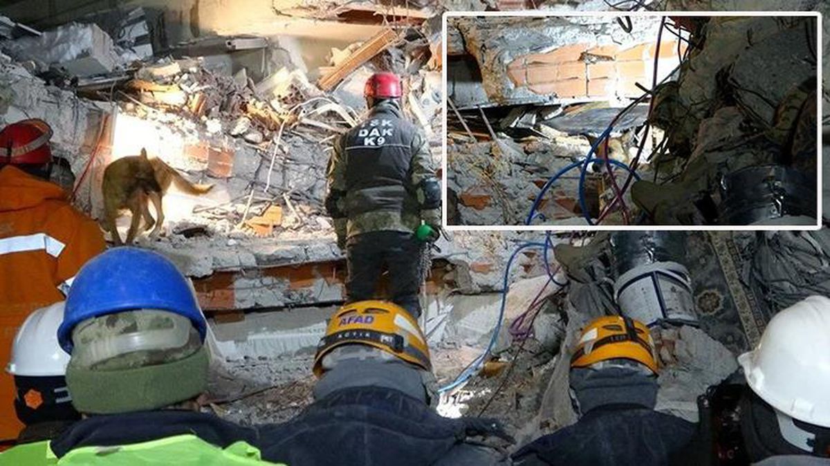 'Sıla', Malatya'da 12 kişinin sağ kurtarılmasını sağladı