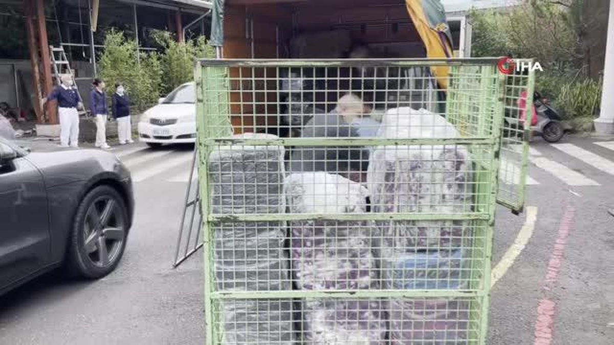 Tayvan'da Türkiye için 2 günde binlerce koli yardım toplandıYardımsever Tayvanlı 'Türkiye çok yaşa' diyerek İstiklal Marşı'nı okudu