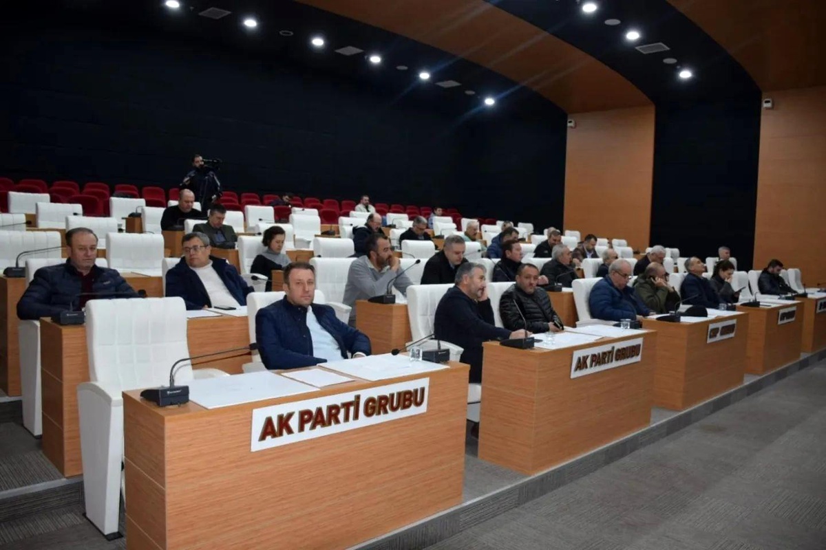 Çanakkale İl Genel Meclisi\'nden deprem bölgesine 1 milyon TL aktarma kararı