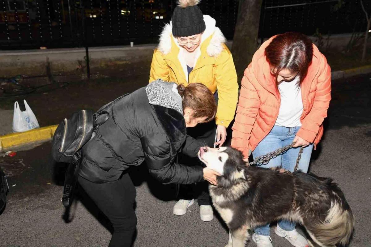 Depremzede köpek Bella İstanbul\'da yeni ailesine kavuştu