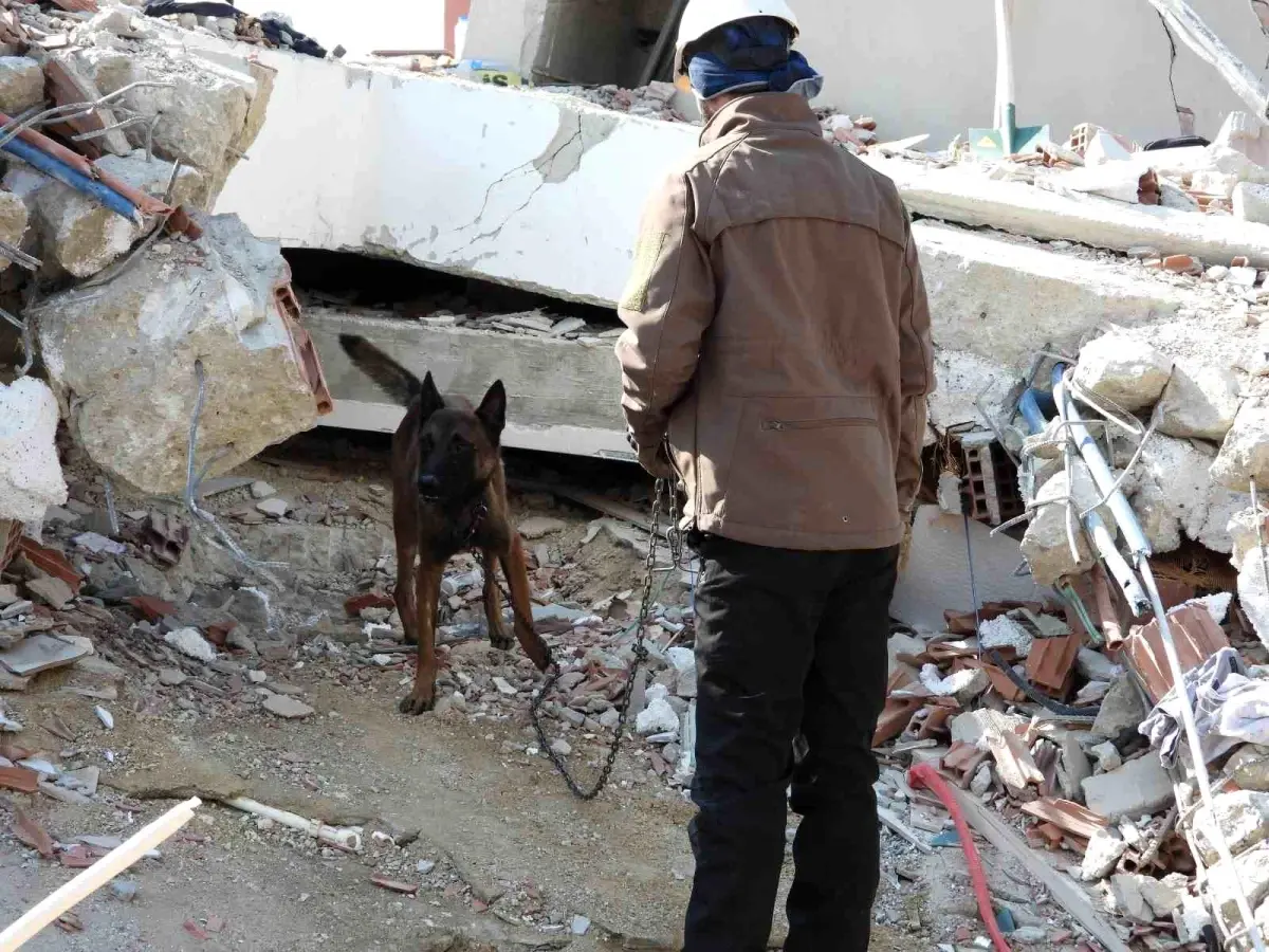 Hasta olmasına rağmen "Tetik" hassas burnu ile 33 kişinin kurtarılmasını sağladı