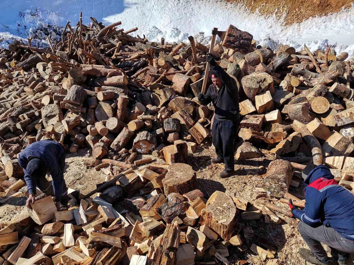"Onlar üşürse biz donarız" diyen köylüler deprem bölgesi için odun hazırladı