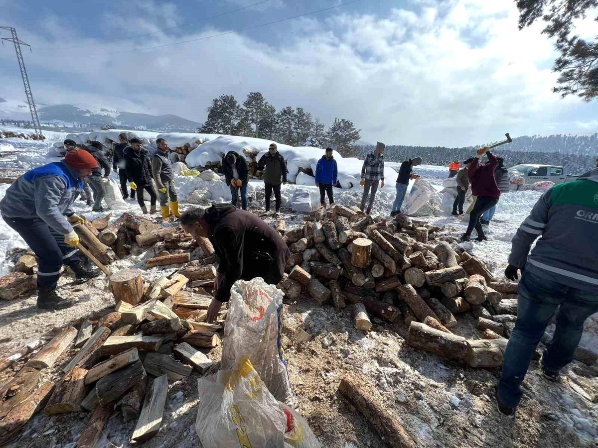 Sarıkamış\'ın odunları depremzedeleri ısıtacak