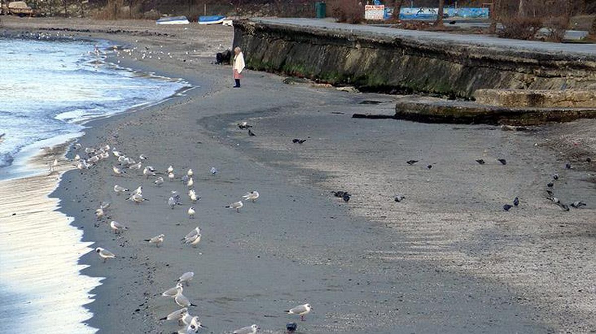 Kandilli, Marmara Denizi'nin metrelerce çekilmesi hakkında açıklama yaptı: Deprem kaynaklı değil