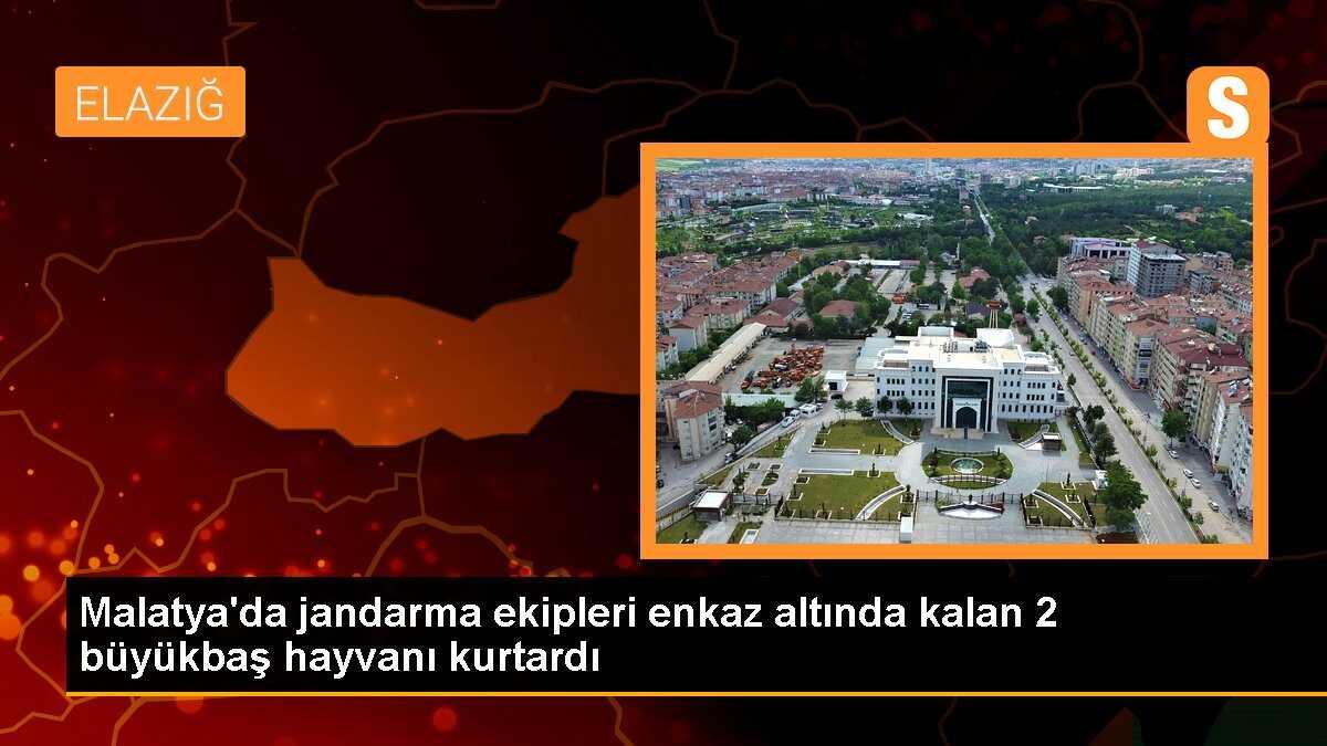 Malatya\'da jandarma ekipleri enkaz altında kalan 2 büyükbaş hayvanı kurtardı