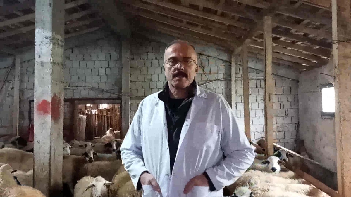 Samsun Damızlık Koyun ve Keçi Yetiştiriciliği Birliği\'nden Depremzedelere Kuzu Eti Desteği