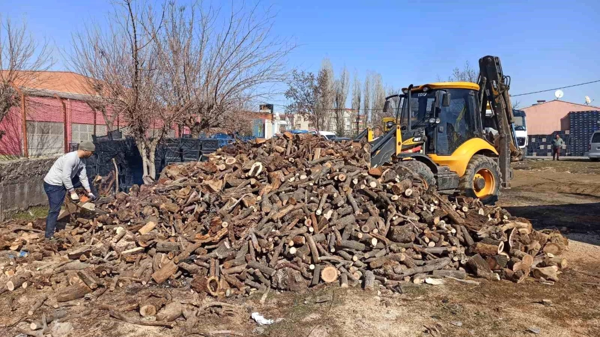 Siirt\'ten deprem bölgesine ilk etapta 35 ton odun gönderilmeye başlandı