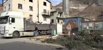 Sular altında kalacak ilçenin ağaçları, depremzedeleri ısıtacak