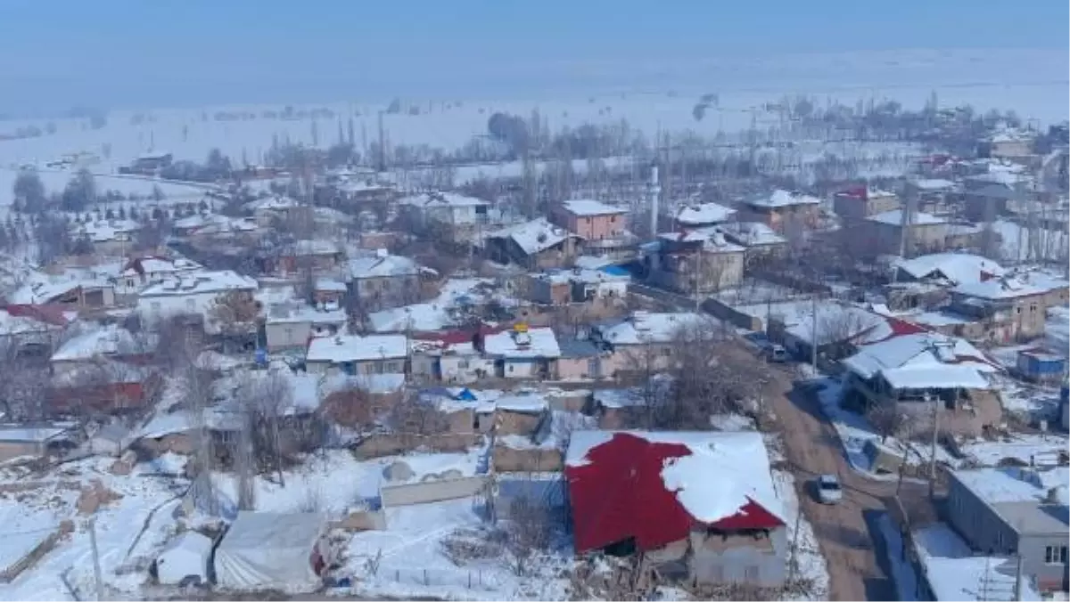 DEPREM SONRASI HAYVANLARINI BIRAKAMIYOR