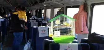 Diyarbakır tren garı depremzedelere 'ev' oldu