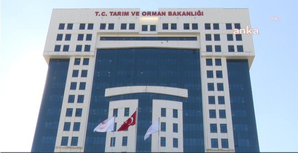 Tarım ve Orman Bakanlığı, Deprem Nedeniyle Kara Avcılığını İkinci Bir Duyuruya Kadar Ülke Genelinde Durdurma Kararı Aldı