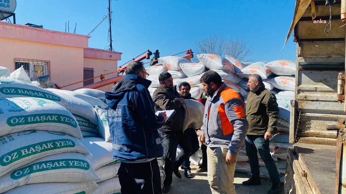 Eskişehir Büyükşehir\'den Afet Bölgesindeki Hayvan Sahibi Üreticilere Yem Desteği