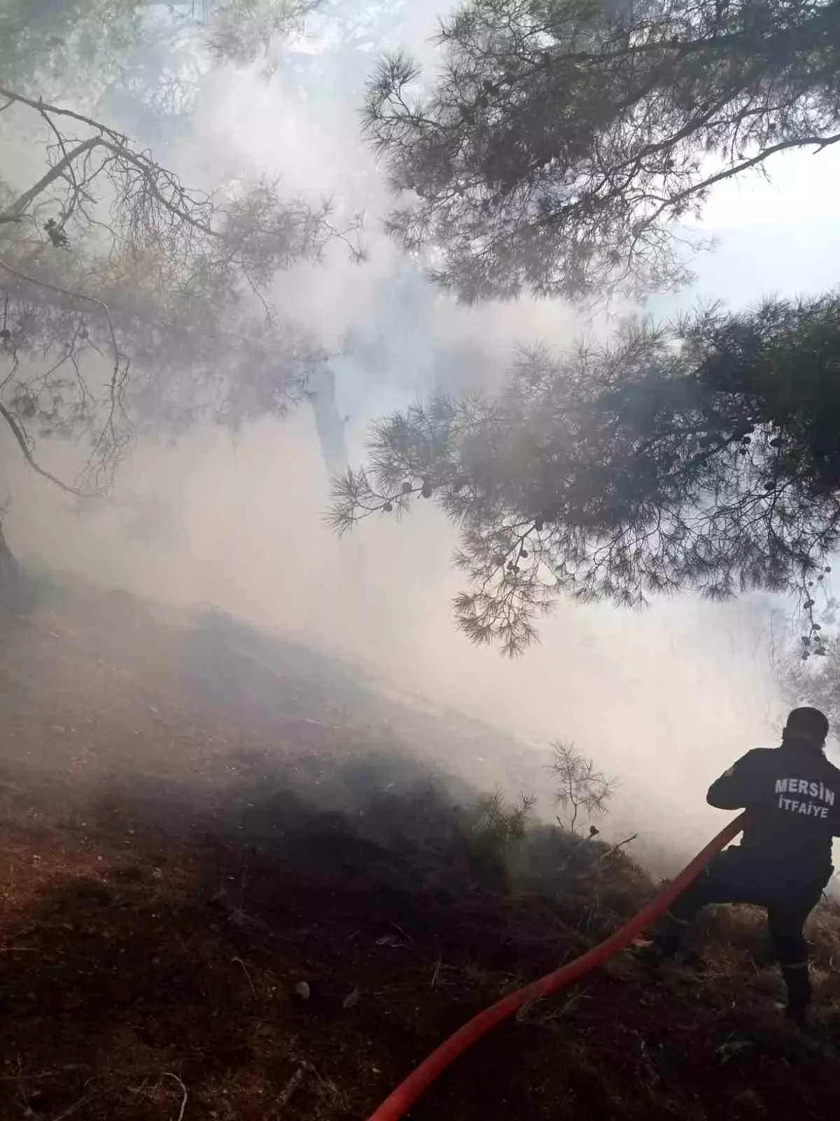 Mersin\'de orman yangını kontrol altına alındı