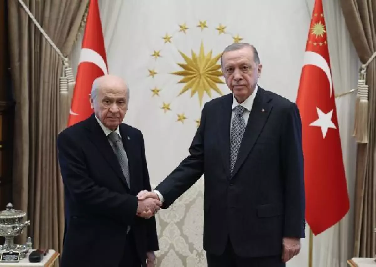 Cumhurbaşkanı Erdoğan, MHP Genel Başkanı Bahçeli ile görüştü