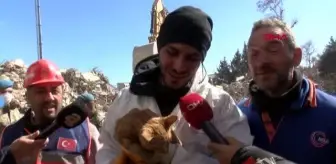 Enkazdan çıkardıkları kediye 'AFAD' adını verdiler