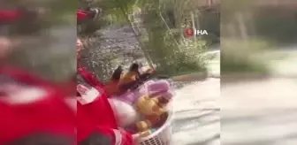 Enkazdan topladıkları oyuncakları çadırda kalan çocuklara götürdüler