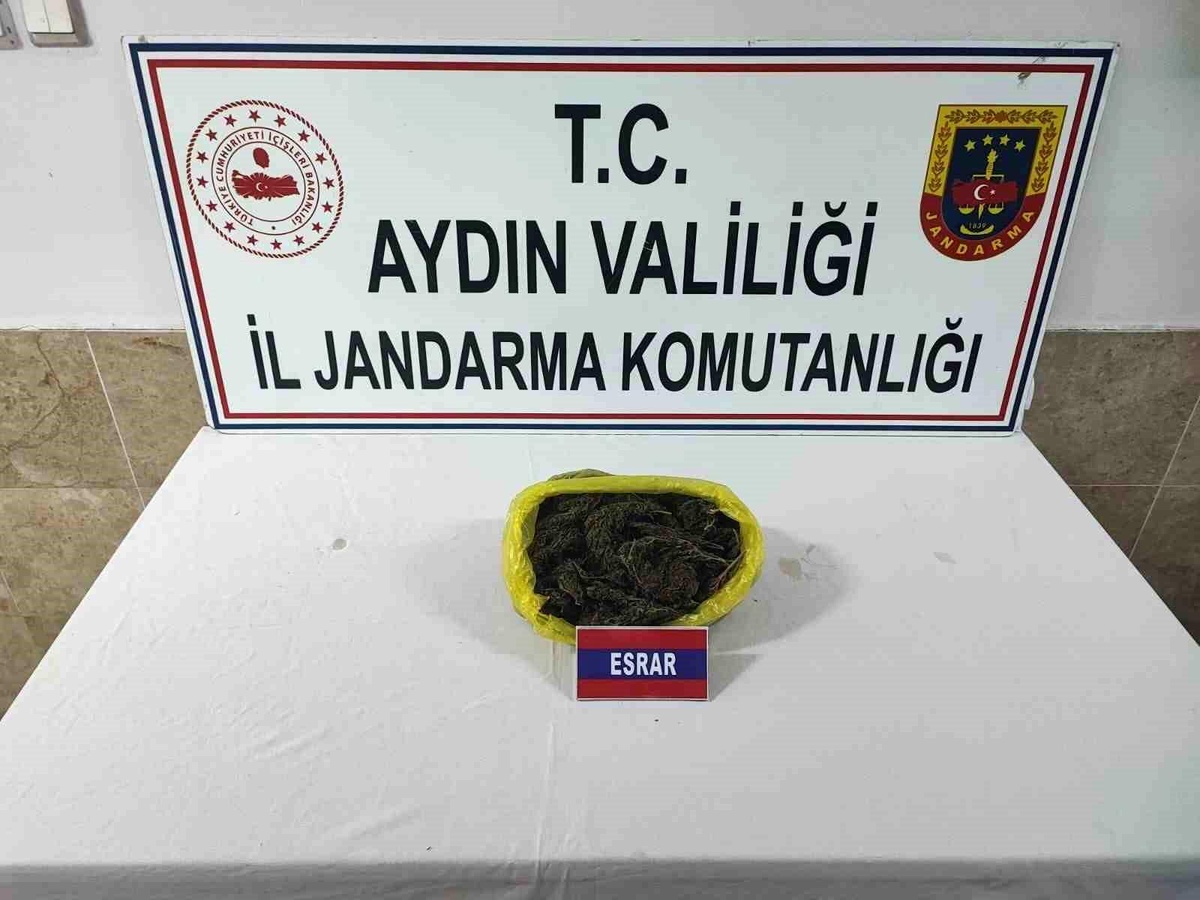 Jandarma ekipleri yarım kilo esrar yakaladı