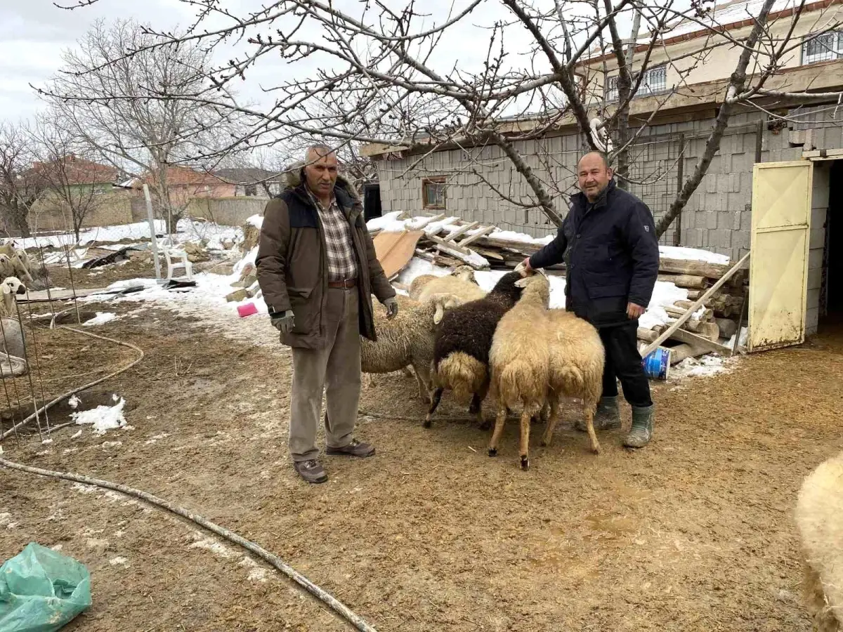 Kulu\'da küçükbaş hayvan sahiplerinden depremzedeler yardım