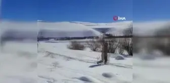 Şarampole uçan otomobildeki 4 kişi yaralandı